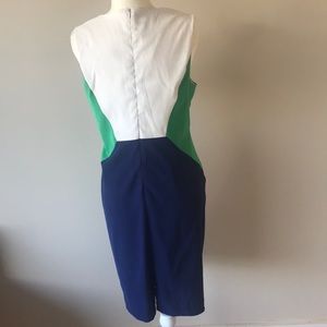 Dress Barn Sheath Dress